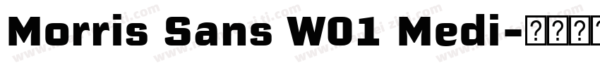 Morris Sans W01 Medi字体转换